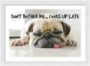 Don't Bother Me - Framed Print