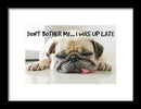 Don't Bother Me - Framed Print