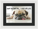Don't Bother Me - Framed Print
