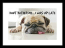 Don't Bother Me - Framed Print