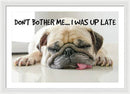 Don't Bother Me - Framed Print