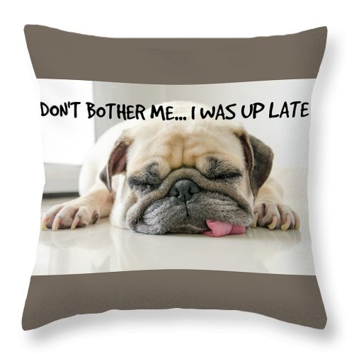 Don't Bother Me - Throw Pillow