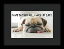 Don't Bother Me - Framed Print