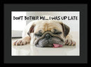 Don't Bother Me - Framed Print