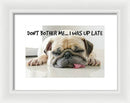 Don't Bother Me - Framed Print