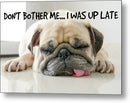 Don't Bother Me - Metal Print