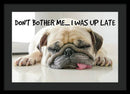 Don't Bother Me - Framed Print