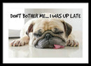 Don't Bother Me - Framed Print