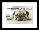 Don't Bother Me - Framed Print