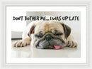 Don't Bother Me - Framed Print
