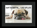 Don't Bother Me - Framed Print