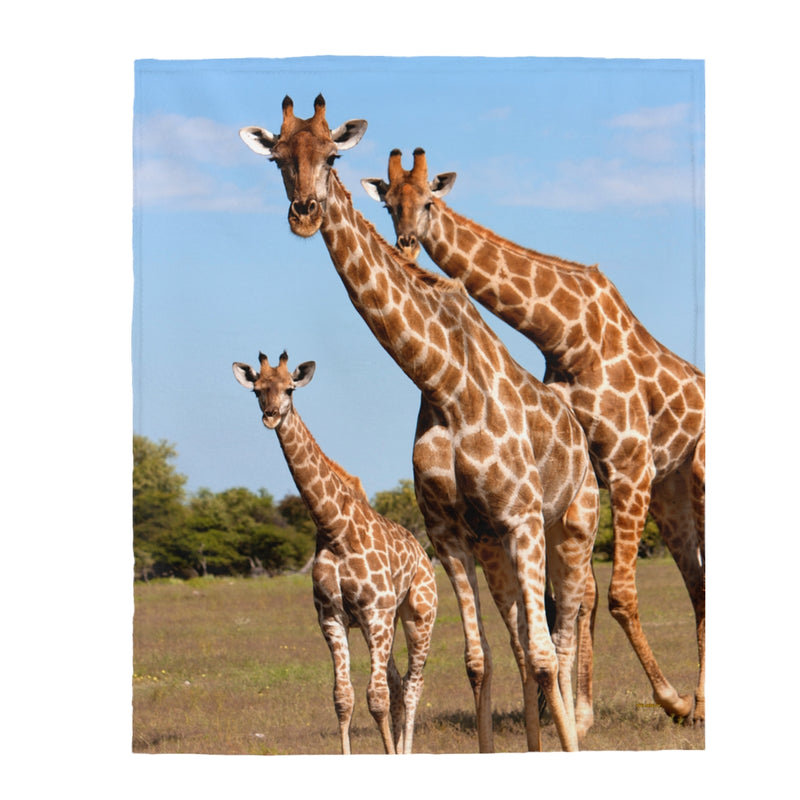 Giraffes Blanket, Velveteen Plush Blanket, Free Shipping, Two Sizes, Throw Blanket, Extra Soft, Custom Photo, Throws