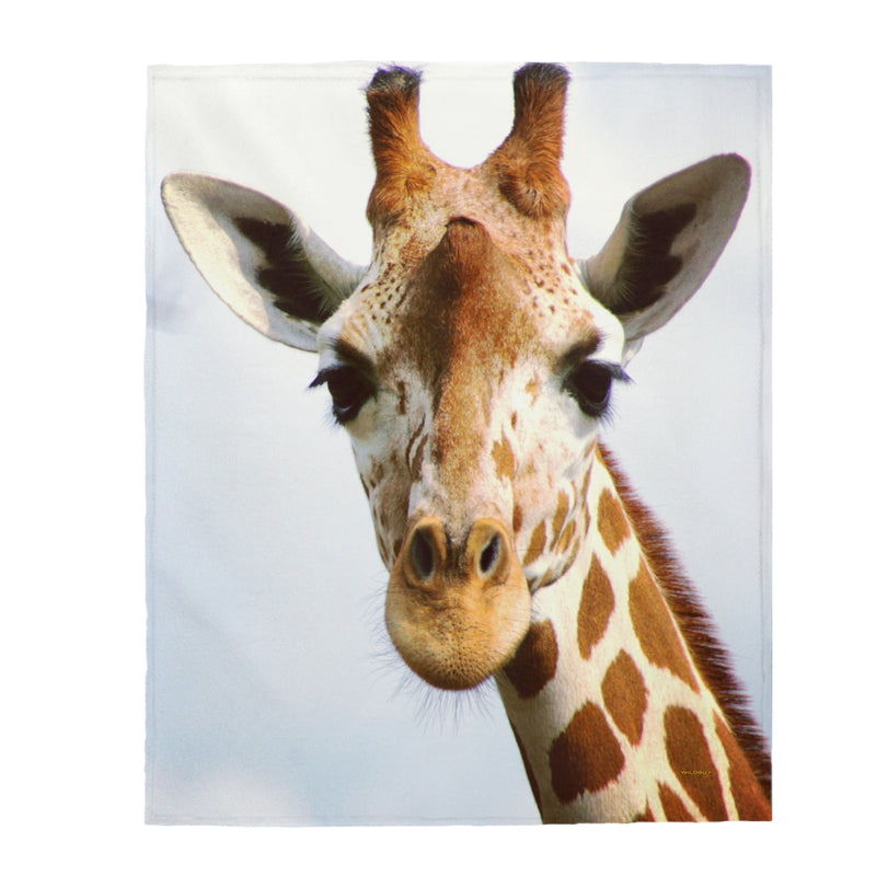 Giraffe Blanket, Velveteen Plush Blanket, Free Shipping, Two Sizes, Throw Blanket, Extra Soft, Custom Photo, Throws