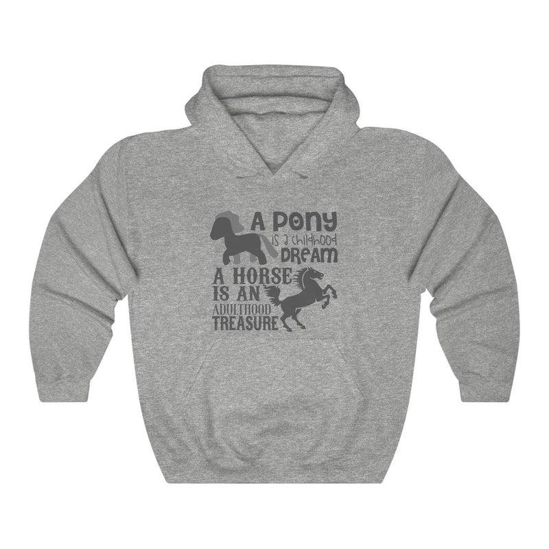 A Pony Is A Childhood Dream Unisex Heavy Blend™ Hoodie