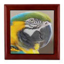 Birds Eye View Luxury Jewelry Box