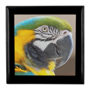 Birds Eye View Luxury Jewelry Box