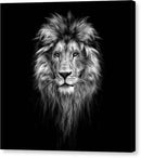 Lion On Black - Canvas Print