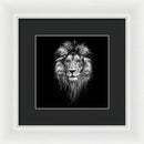 Lion On Black - Framed Print