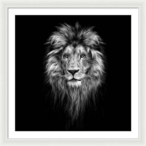 Lion On Black - Framed Print