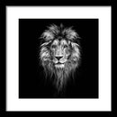Lion On Black - Framed Print