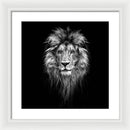 Lion On Black - Framed Print