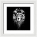 Lion On Black - Framed Print
