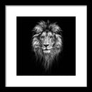 Lion On Black - Framed Print