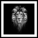 Lion On Black - Framed Print