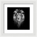 Lion On Black - Framed Print