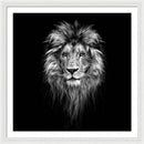 Lion On Black - Framed Print