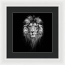 Lion On Black - Framed Print
