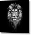 Lion On Black - Metal Print