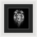 Lion On Black - Framed Print