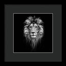 Lion On Black - Framed Print