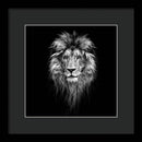 Lion On Black - Framed Print