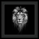 Lion On Black - Framed Print
