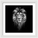 Lion On Black - Framed Print