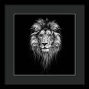 Lion On Black - Framed Print