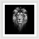 Lion On Black - Framed Print
