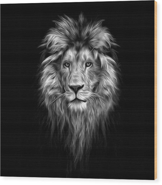 Lion On Black - Wood Print