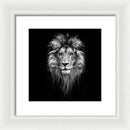 Lion On Black - Framed Print