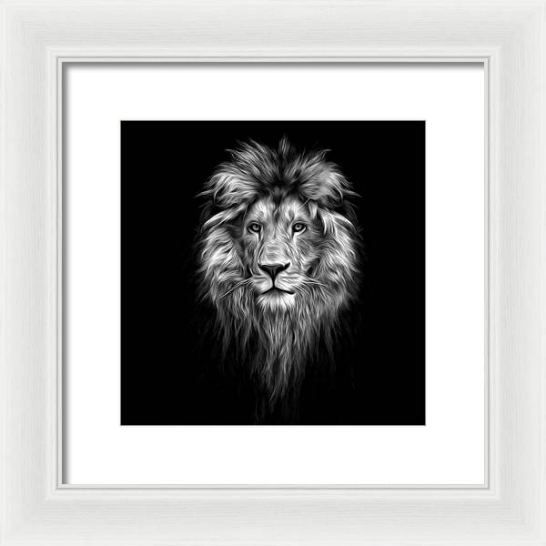 Lion On Black - Framed Print