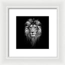 Lion On Black - Framed Print