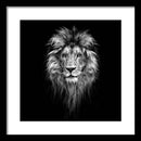 Lion On Black - Framed Print