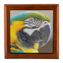 Birds Eye View Luxury Jewelry Box