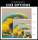 Birds Eye View Square Canvas in Four Sizes