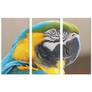 Bird's Eye View 3 Piece Canvas Wall Art