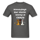 Unisex Classic T-Shirt - charcoal