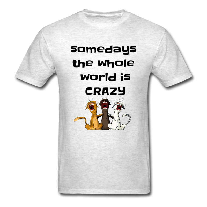 somedays the whold world is crazy Unisex Classic T-Shirt - light heather gray