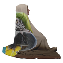 Birds Eye View Hooded Blanket